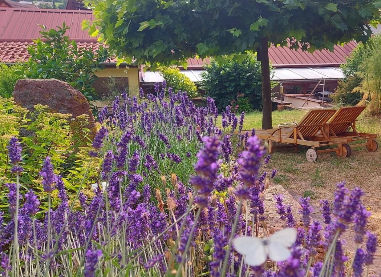 Gaestehaus Roehm Ilbesheim bei Landau in der Pfalz Esterno foto